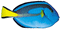 LM-1 Data Sheet